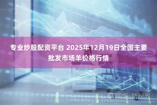 专业炒股配资平台 2025年12月19日全国主要批发市场羊价格行情