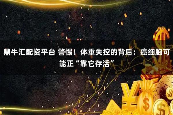 鼎牛汇配资平台 警惕！体重失控的背后：癌细胞可能正“靠它存活”